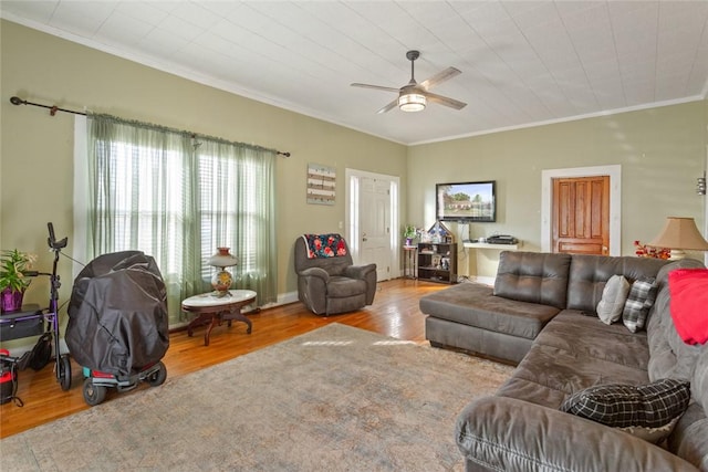 208 Retreat St, Westminster, SC 29693 - photo 6