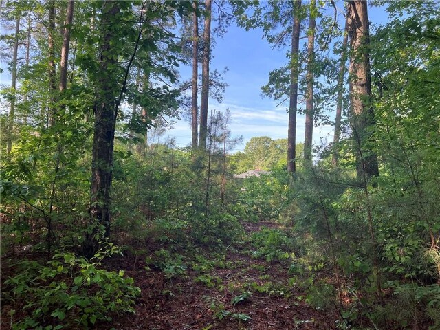 00 Seed Farm Rd, Westminster, SC 29693 - photo 2