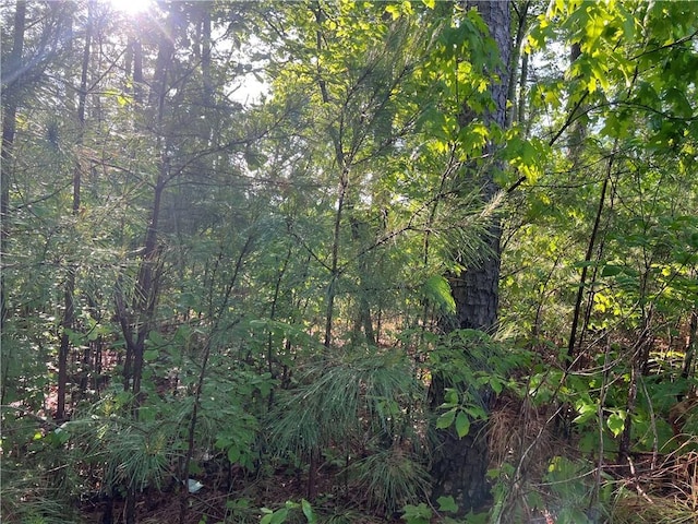 00 Seed Farm Rd, Westminster, SC 29693 - photo 3