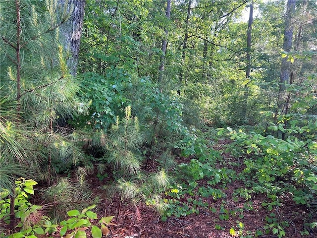 00 Seed Farm Rd, Westminster, SC 29693 - photo 4