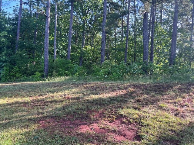 00 Seed Farm Rd, Westminster, SC 29693 - photo 5