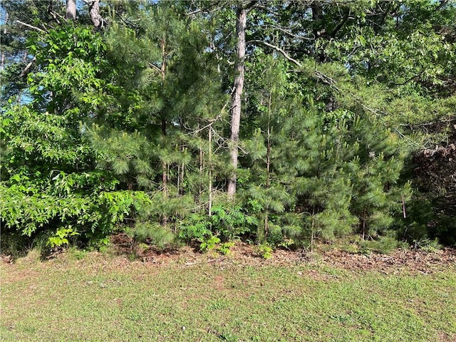 00 Seed Farm Rd, Westminster, SC 29693 - photo 6