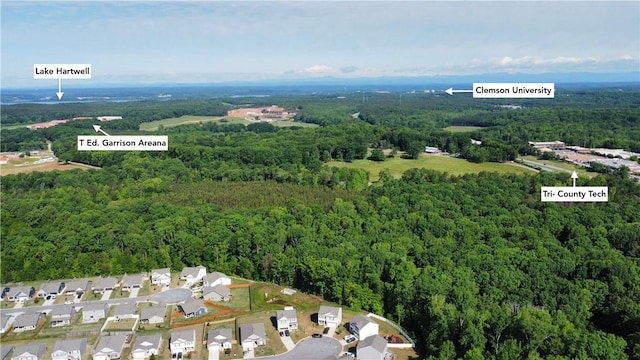 aerial view with a forest view
