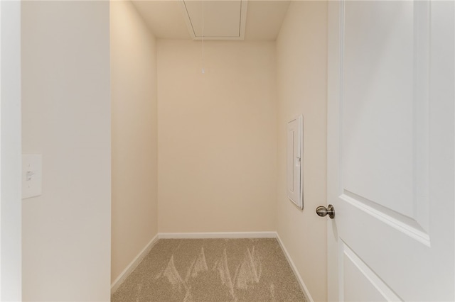 washroom featuring carpet, attic access, and baseboards