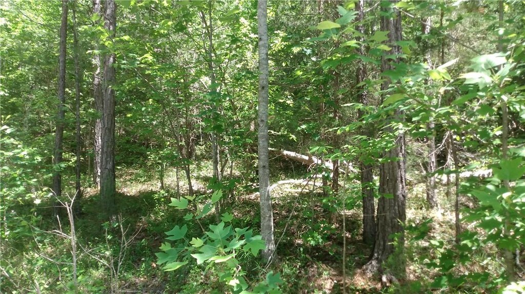 LOT28 Lake Breeze Rd, Westminster, SC 29693