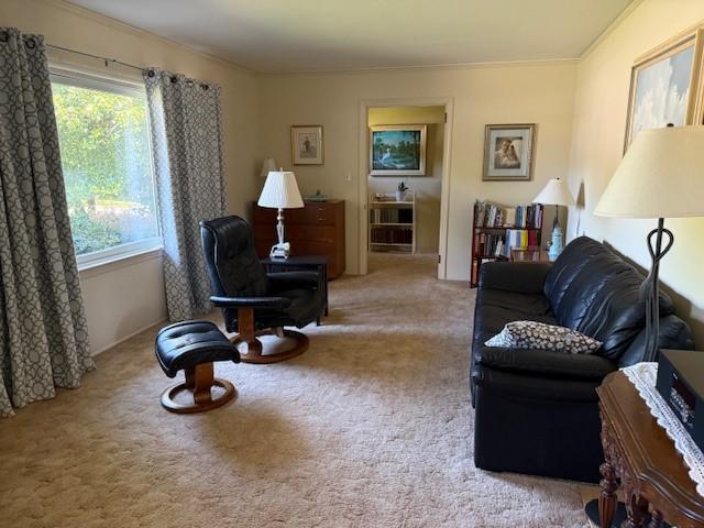 carpeted living room featuring crown molding