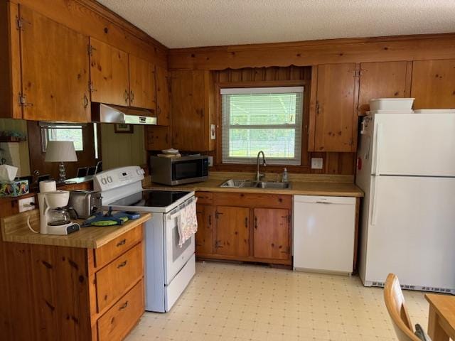 kitchen with a sink, brown cabinetry, white appliances, under cabinet range hood, and light countertops