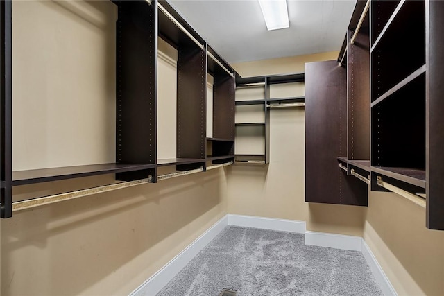 107 Amanda Dr, Anderson, SC 29621 - spacious closet with carpet floors