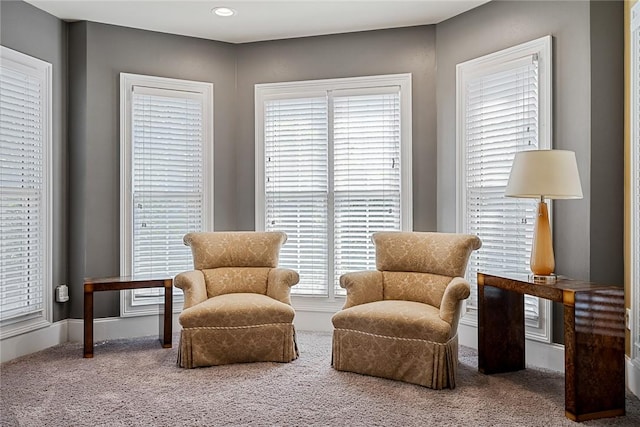 107 Amanda Dr, Anderson, SC 29621 - living area featuring carpet floors