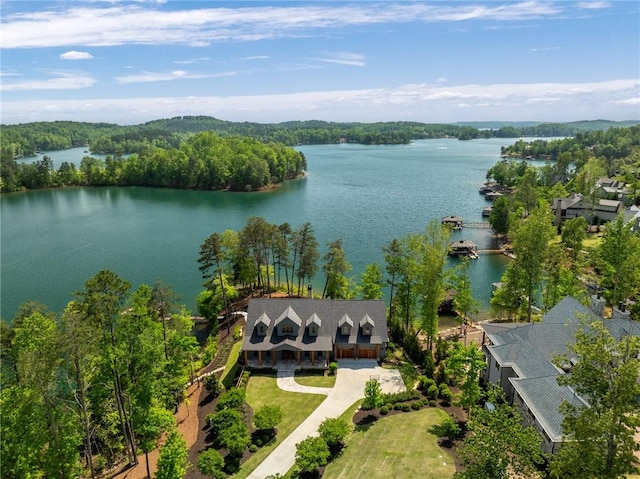 431 Peninsula Rdg, Sunset, SC 29685