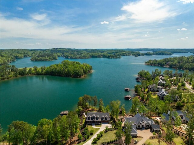 431 Peninsula Rdg, Sunset, SC 29685