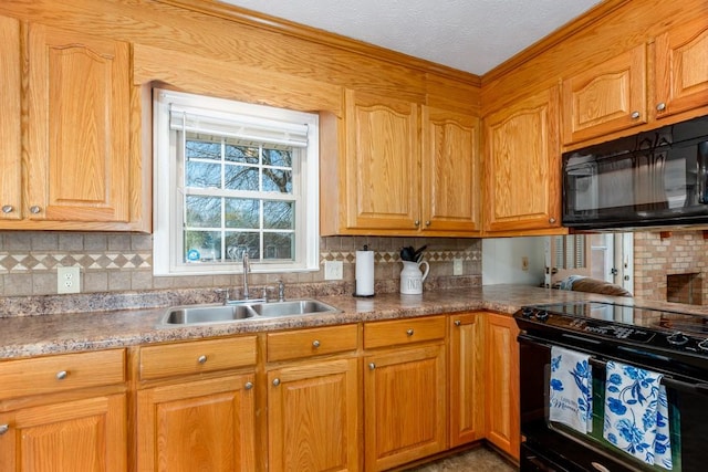 102 Norman St, Liberty, SC 29657 - kitchen featuring a sink, decorative backsplash, and black appliances