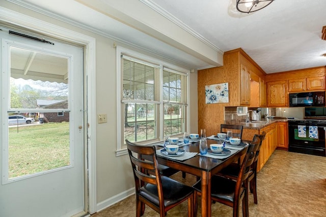 102 Norman St, Liberty, SC 29657 - dining space featuring ornamental molding and baseboards
