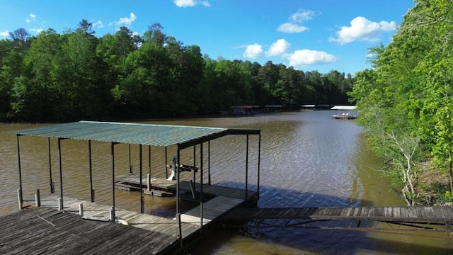 90 Eagle Claw Ct, Martin, GA 30557 - dock area with a water view and a forest view