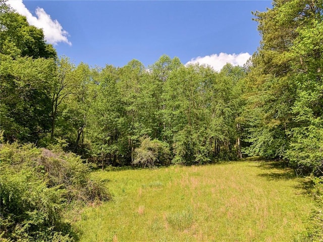 698 Mount Bethel Rd, Sunset, SC 29685 - photo 38