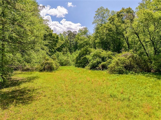 698 Mount Bethel Rd, Sunset, SC 29685 - photo 39