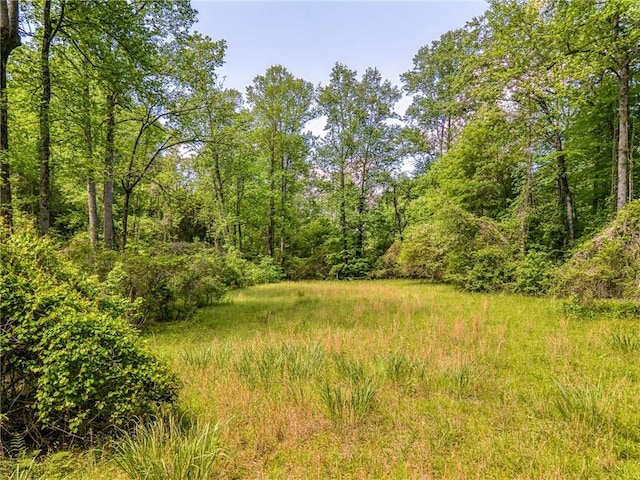 698 Mount Bethel Rd, Sunset, SC 29685 - photo 42