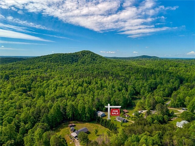 698 Mount Bethel Rd, Sunset, SC 29685 - photo 43