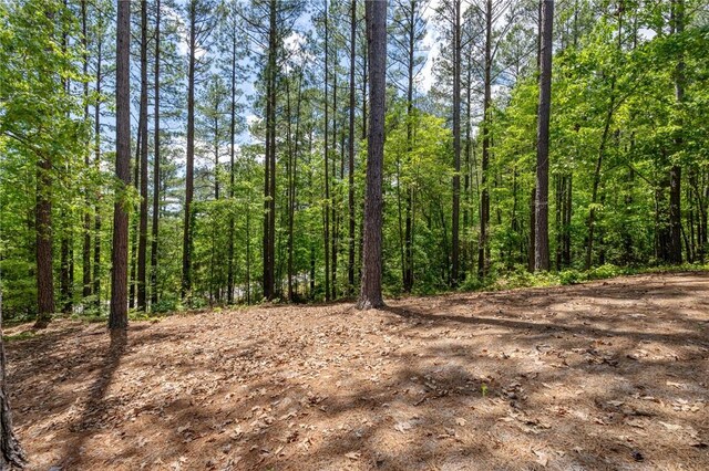 113 Settlement Village Dr, Sunset, SC 29685 - view of wooded area