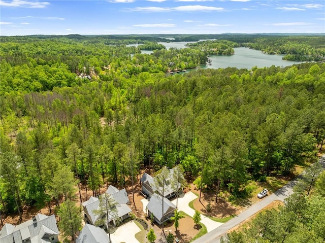 113 Settlement Village Dr, Sunset, SC 29685 - bird's eye view of a forest and a large body of water