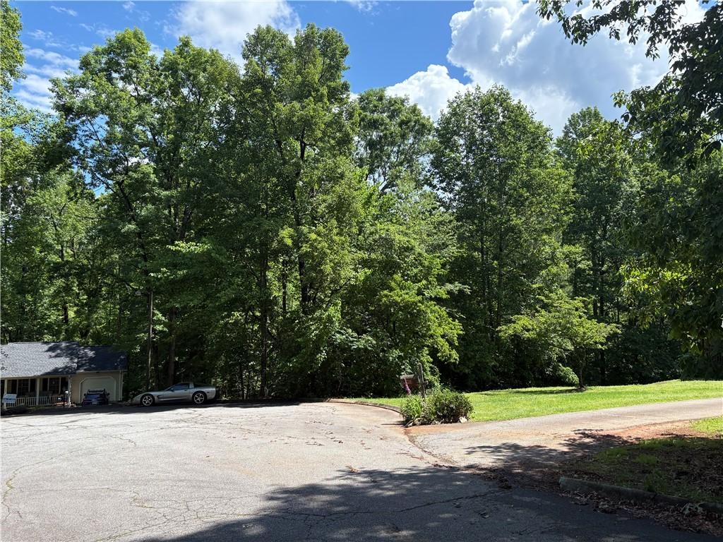 410 Hamilton Forest Dr, Easley, SC 29640 - photo 3