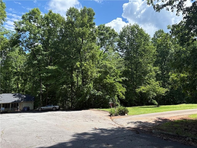 410 Hamilton Forest Dr, Easley, SC 29640 - photo 3