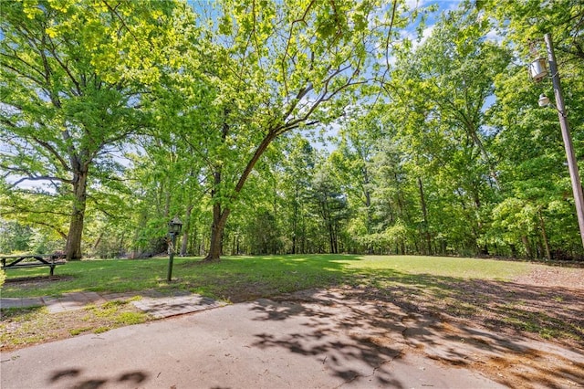 1102 Garrison Rd, Anderson, SC 29625 - view of green lawn