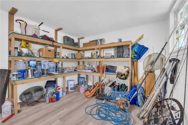 619 Crossland Creek Ct, Tamassee, SC 29686 - view of storage room