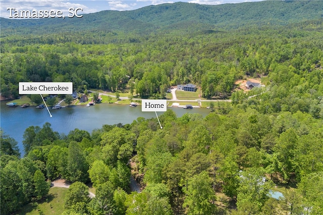 619 Crossland Creek Ct, Tamassee, SC 29686 - aerial overview of property's location with a heavily wooded area and a water and mountain view
