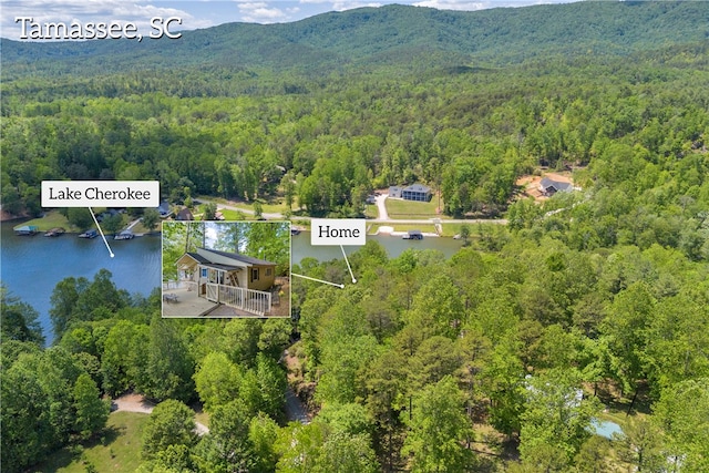 619 Crossland Creek Ct, Tamassee, SC 29686 - aerial view of a heavily wooded area and a water and mountain view