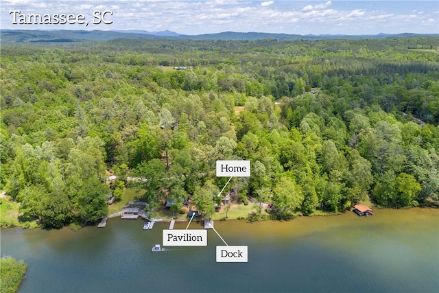 619 Crossland Creek Ct, Tamassee, SC 29686 - bird's eye view of a heavily wooded area and a water and mountain view