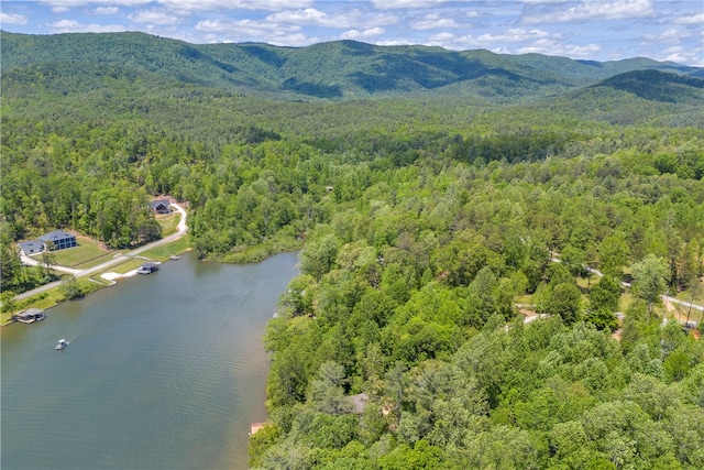619 Crossland Creek Ct, Tamassee, SC 29686 - aerial overview of property's location with a forest and a water and mountain view