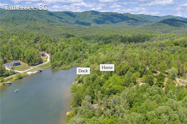 619 Crossland Creek Ct, Tamassee, SC 29686 - aerial overview of property's location featuring a forest and a water and mountain view