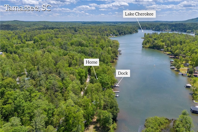 619 Crossland Creek Ct, Tamassee, SC 29686 - bird's eye view of a heavily wooded area and a nearby body of water