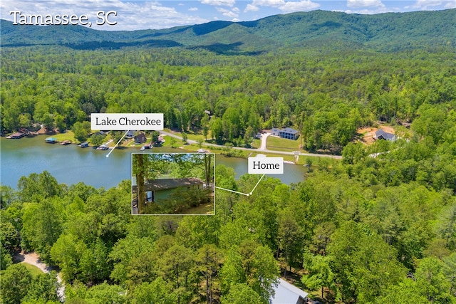621 Crossland Creek Ct, Tamassee, SC 29686 - aerial view of a heavily wooded area and a water and mountain view
