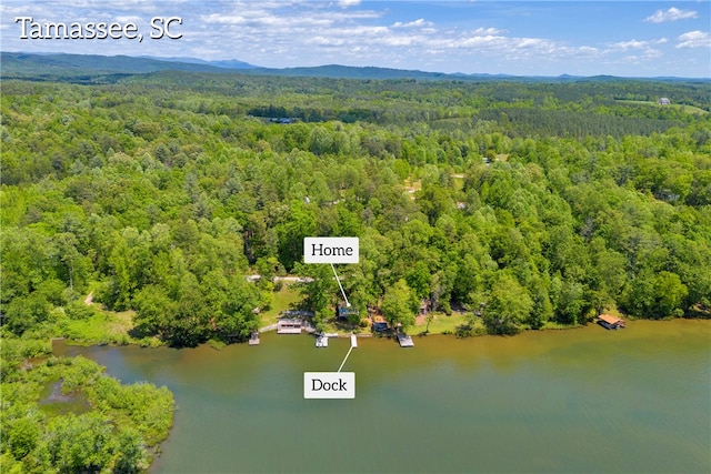621 Crossland Creek Ct, Tamassee, SC 29686 - aerial view of a forest and a water and mountain view