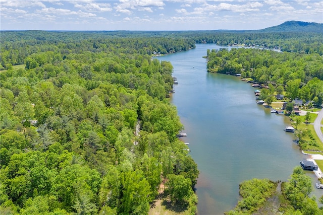 621 Crossland Creek Ct, Tamassee, SC 29686 - bird's eye view of a heavily wooded area and a large body of water