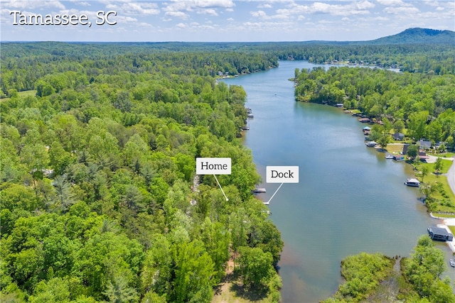 621 Crossland Creek Ct, Tamassee, SC 29686 - aerial view of a heavily wooded area and a nearby body of water