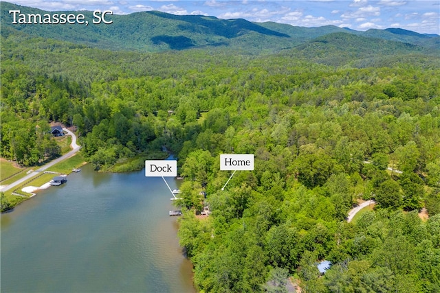 621 Crossland Creek Ct, Tamassee, SC 29686 - bird's eye view of a forest and a water and mountain view