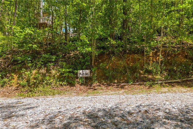 621 Crossland Creek Ct, Tamassee, SC 29686 - view of road
