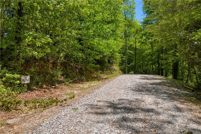 621 Crossland Creek Ct, Tamassee, SC 29686 - view of street with a wooded view