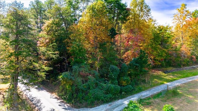 00 Holly Springs School Rd, Pickens, SC 29671 - photo 10