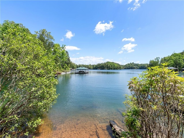 703 Misty Dawn Ct, Salem, SC 29676