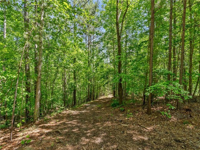 703 Misty Dawn Ct, Salem, SC 29676