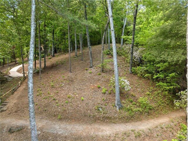 703 Misty Dawn Ct, Salem, SC 29676