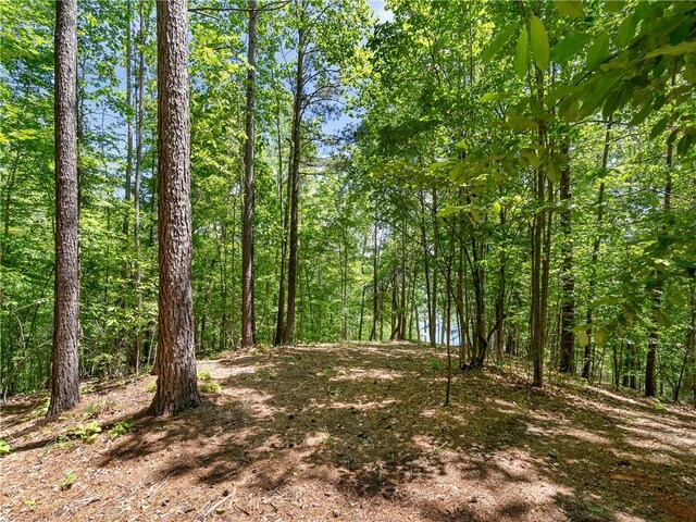 703 Misty Dawn Ct, Salem, SC 29676