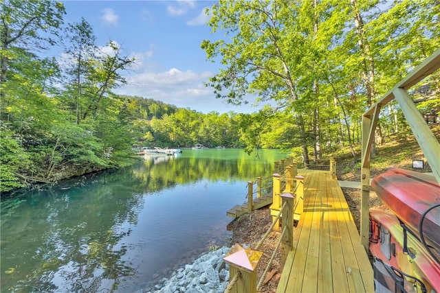 451 Cedar Creek Rd, Sunset, SC 29685 - dock with a water view and a wooded view