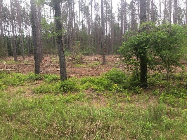 00 Mike Mcconnell Rd, Iva, SC 29655