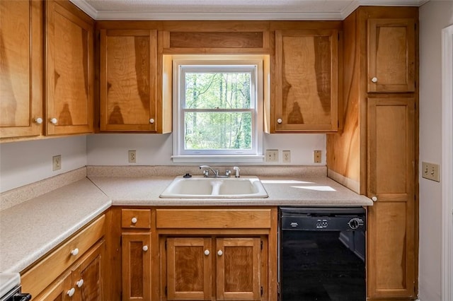 1012 Kens Pl, Taylors, SC 29687 - kitchen featuring black dishwasher, a sink, brown cabinets, and light countertops