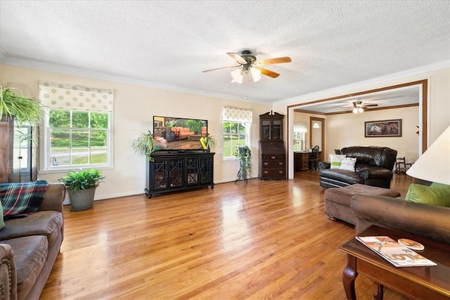 163 Yates Rd, Liberty, SC 29657 - photo 5